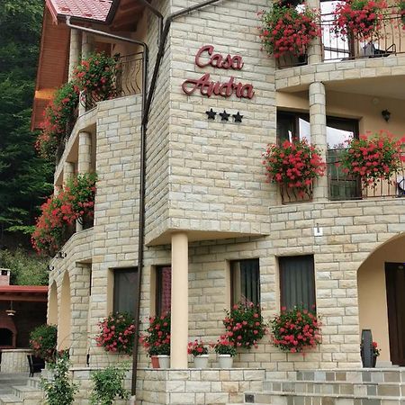 Hotel Casa Andra Slănic-Moldova Exterior foto