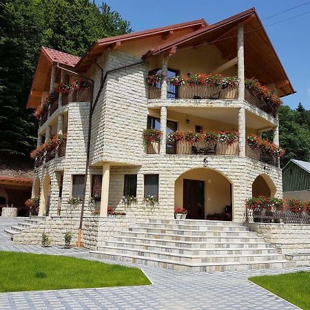 Hotel Casa Andra Slănic-Moldova Exterior foto